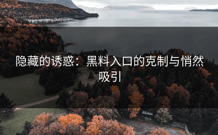 隐藏的诱惑:黑料入口的克制与悄然吸引 隐藏的诱惑:黑料入口的克制与悄然吸引
