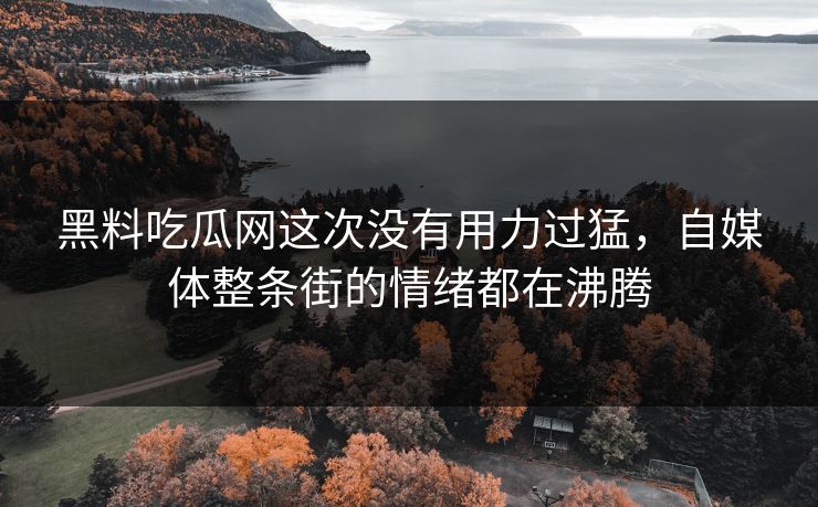 黑料吃瓜网这次没有用力过猛,自媒体整条街的情绪都在沸腾 黑料吃瓜网这次没有用力过猛,自媒体整条街的情绪都在沸腾